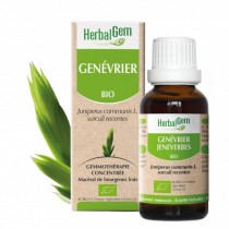 Genévrier 15ml Herbalgem