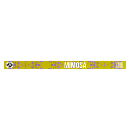 Encens découverte Mimosa