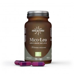 Chaque gélule de Mico Léo contient 495 mg d’extrait pur de sporophore de Crinière de lion
