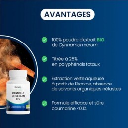 Cannelle de Ceylan BIO 500 mg 60 gel Dynveo Aide à la régulation de la glycémie