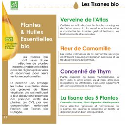 Tisane des 5 Plantes Nutrigée – Bien-être quotidien - Bretagne, Finistère