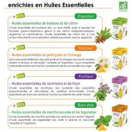 Verveine de l'Atlas enrichie en huiles essentielles 20 sachets