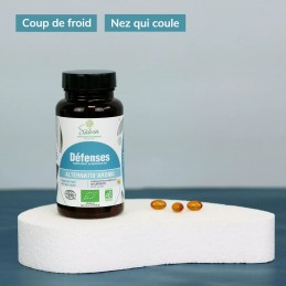 Alternativ'aroma Défenses hiver 40 caps Salvia nutrition, coups de froid, nez qui coule, frissons…