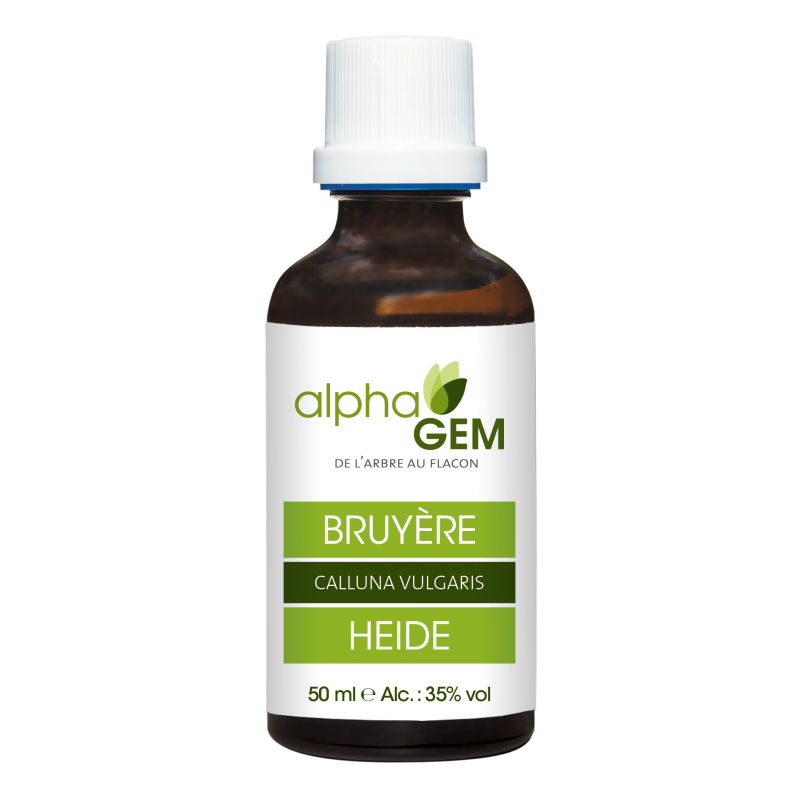 Bruyère 50ml – Macérât mère bourgeon Bruyère - Gemmothérapie Alphagem