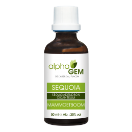 Séquoia 50ml Gemmothérapie Alphagem : 3 mois de cure