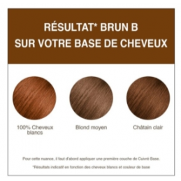 Coloration Brun du Laboratoire Terre de couleur, Bretagne