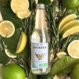 Boisson Tonic bio Socrate, Finistère