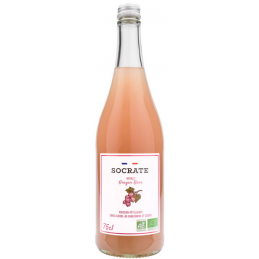 Royale Ginger Beer boisson pétillante bio – Gingembre & Cassis – Socrate Drinks