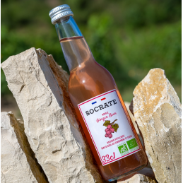 Royale Ginger Beer bio Socrate, Finistère