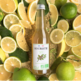 Infusion pétillante de Maté bio Socrate, Bretagne