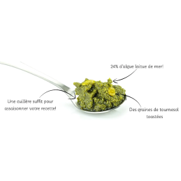 Pesto vert : laitue de mer basilic & graines toastées, Bord à bord, bretagne