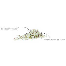Sel aux algues 125g – Dulse, Laitue, Nori -  Bretagne