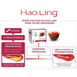 Thé Hao Ling 90 infusettes des Thés de la Pagode, Finistère