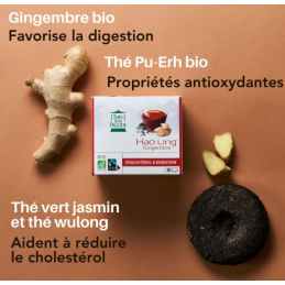 Thé Hao Ling Gingembre 30 infusettes des Thés de la Pagode