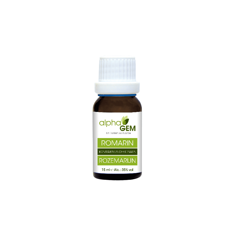 Romarin 15ml Alphagem : gemmothérapie concentrée