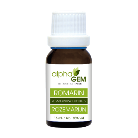 Romarin 15ml Alphagem : gemmothérapie concentrée