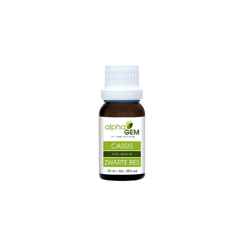 Cassis 15ml – Macérât mère bourgeon Cassis - Gemmothérapie Alphagem