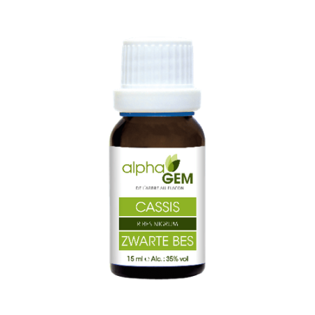Cassis 15ml – Macérât mère bourgeon Cassis - Gemmothérapie Alphagem