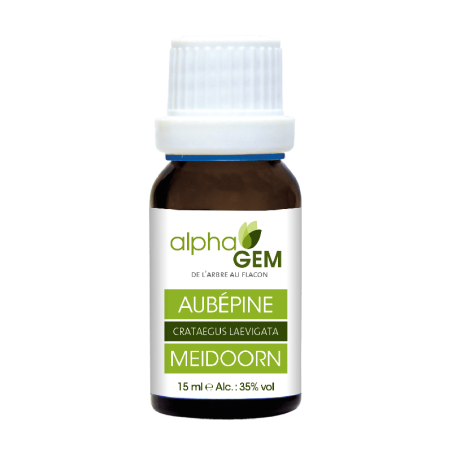 Aubépine 15ml DUO Bio – détente, équilibre émotionnel, bien-être cardiovasculaire - Gemmothérapie Alphagem
