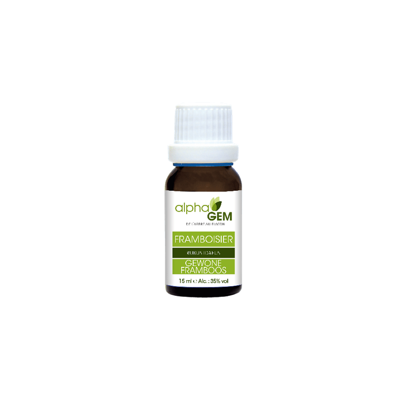 Framboisier 15ml – Bourgeon Femme, Fonction hormonale - Gemmothérapie Alphagem Finistère