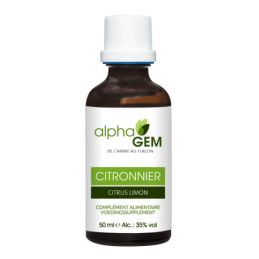 Citronnier 15ml Gemmo Alphagem – Circulation sanguine, fonctionnement foie – Gemmothérapie Finistère