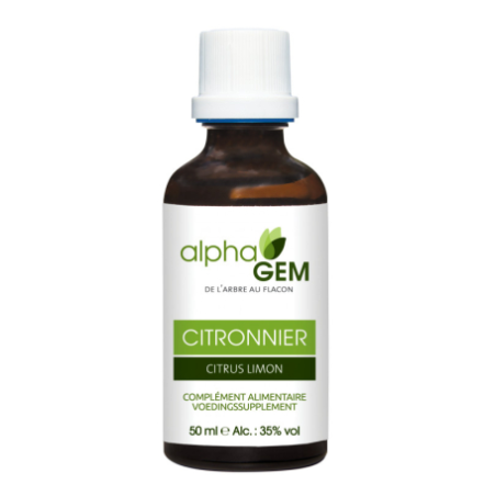 Citronnier 15ml Gemmo Alphagem – Circulation sanguine, fonctionnement foie – Gemmothérapie Finistère