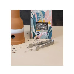 Pince à Charbon, brûle résine & accessoires Aromandise