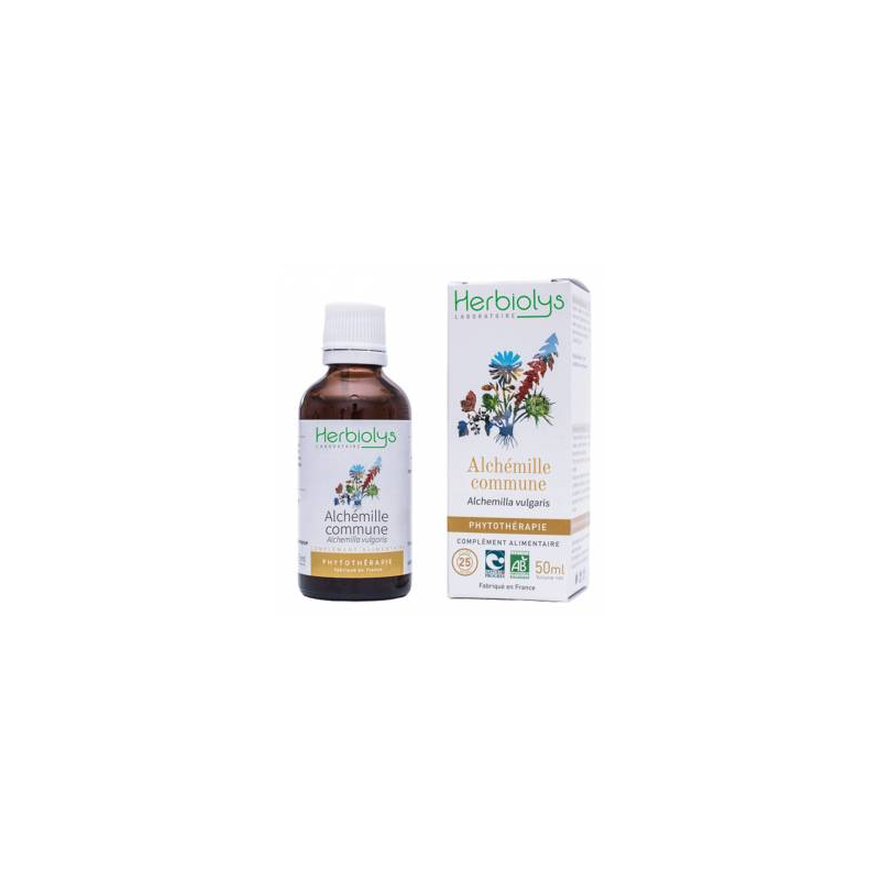 Alchémille Commune Phytothérapie 50ml  –  Femme, Cycle menstruel, Digestion – Phytothérapie Herbiolys Finstère