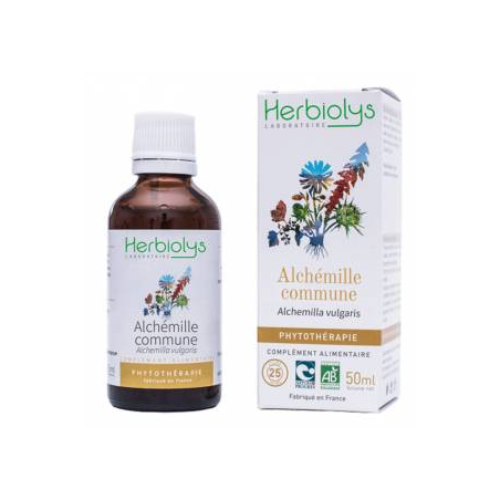 Alchémille Commune Phytothérapie 50ml  –  Femme, Cycle menstruel, Digestion – Phytothérapie Herbiolys Finstère