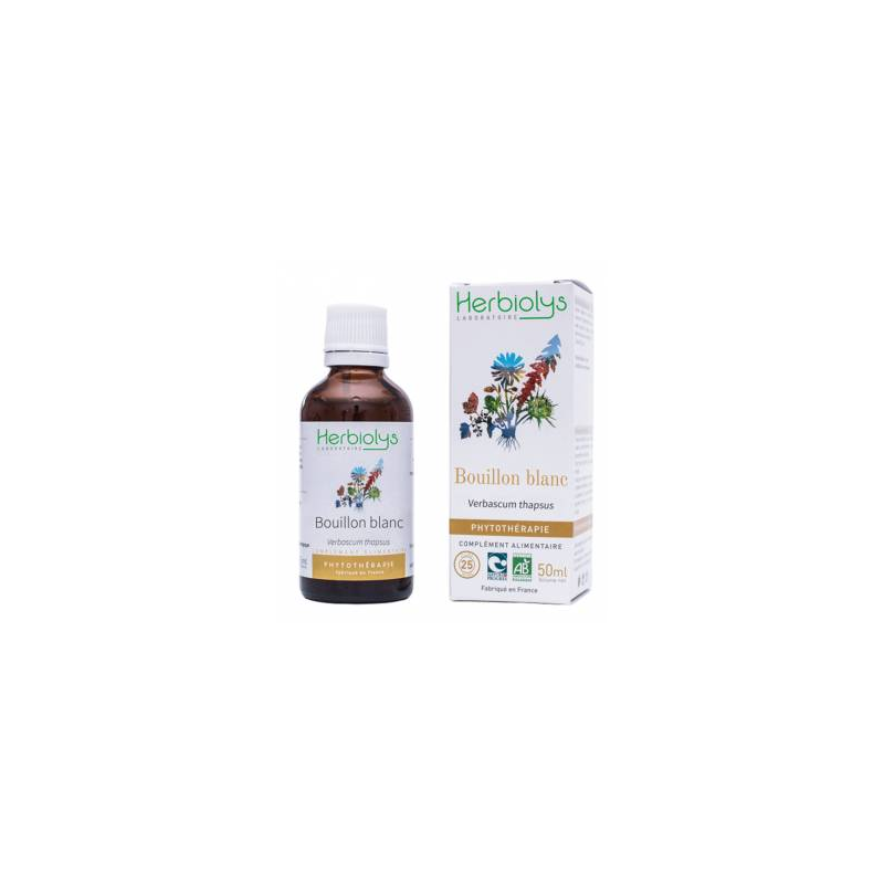 Bouillon Blanc Phytothérapie 50ml  –  Inflammation digestive, urinaire, articulaire – Phytothérapie Herbiolys Finstère