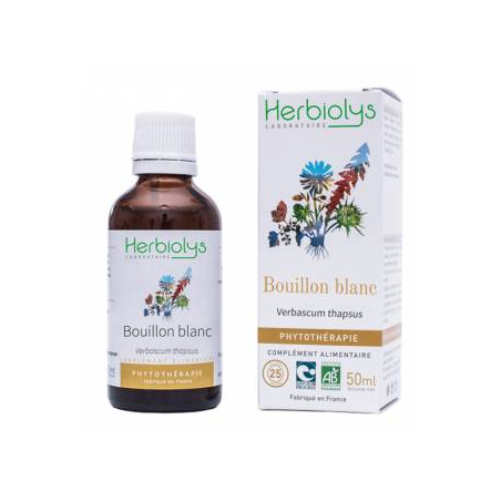 Bouillon Blanc Phytothérapie 50ml  –  Inflammation digestive, urinaire, articulaire – Phytothérapie Herbiolys Finstère