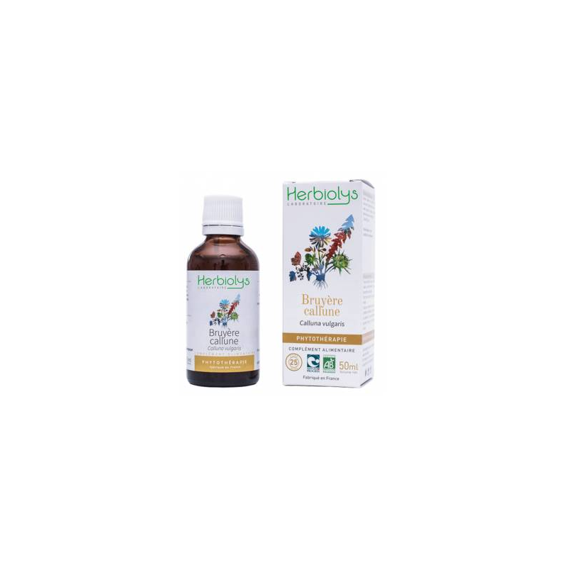 Bruyère Callune Phytothérapie 50ml –  Infection urinaire, cystites – extraits de plantes fraiches Herbiolys Finistère
