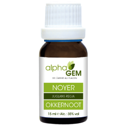 Noyer 15ml Alphagem  –  Digestion, Immunité, Circulation – Gemmothérapie Alphagem Finstère