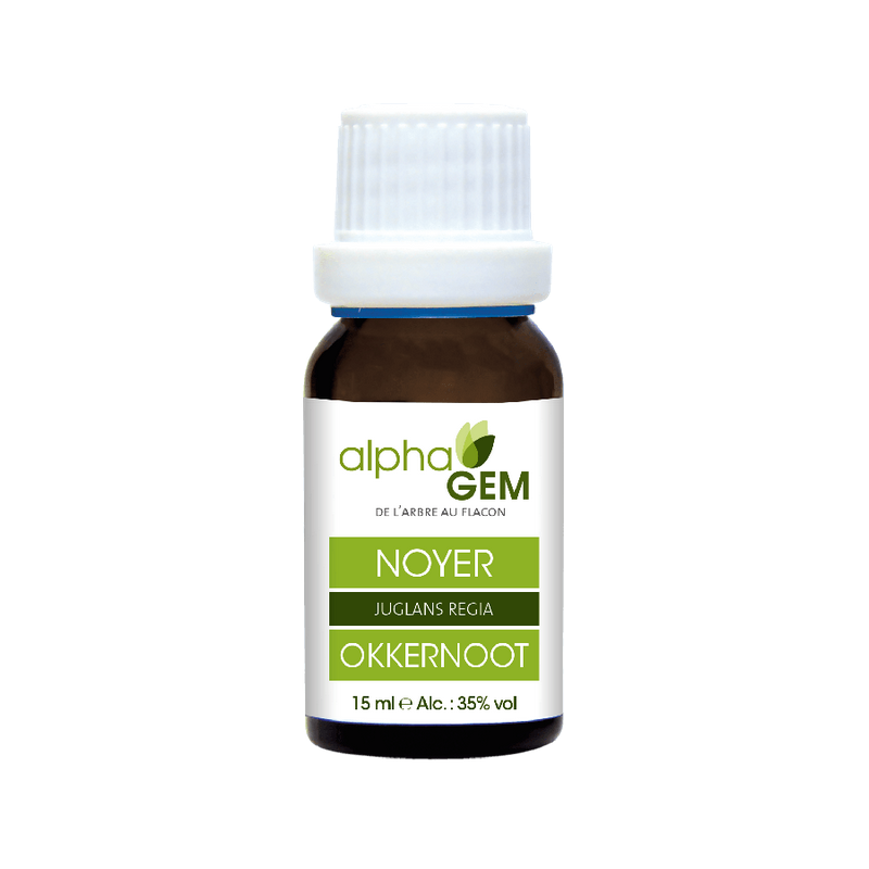 Noyer 15ml Alphagem  –  Digestion, Immunité, Circulation – Gemmothérapie Alphagem Finstère