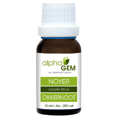 Noyer 15ml Alphagem  –  Digestion, Immunité, Circulation – Gemmothérapie Alphagem Finstère