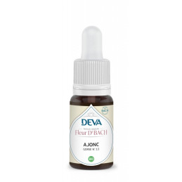 Gorse / Ajonc (N°13) 15ml – Fleurs de Bach Incertitude – Elixirs floraux Deva Finistère