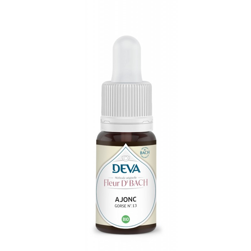 Gorse / Ajonc (N°13) 15ml – Fleurs de Bach Incertitude – Elixirs floraux Deva Finistère