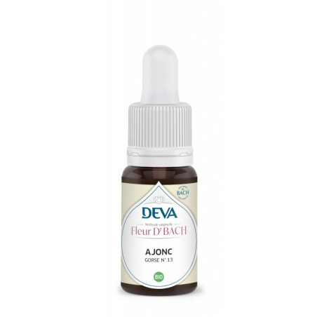 Gorse / Ajonc (N°13) 15ml – Fleurs de Bach Incertitude – Elixirs floraux Deva Finistère