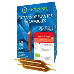 Vigne Rouge 40 Ampoules – Circulation, Jambes Légères – OxyPhyteau Circulation Finistère
