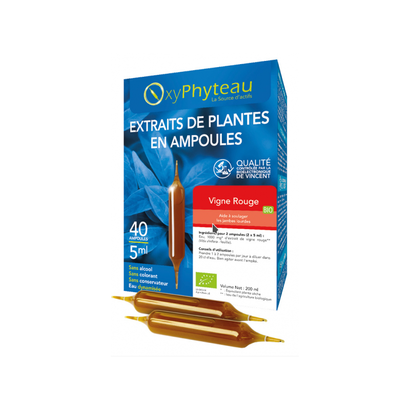Vigne Rouge 40 Ampoules – Circulation, Jambes Légères – OxyPhyteau Circulation Finistère
