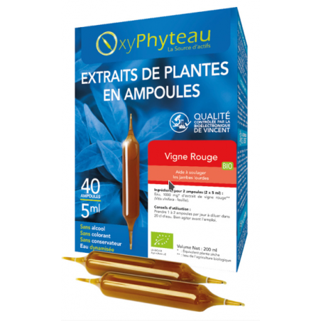 Vigne Rouge 40 Ampoules – Circulation, Jambes Légères – OxyPhyteau Circulation Finistère
