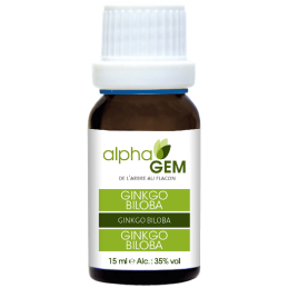 Ginkgo Biloba 15ml – Sphères Circulatoire, Nerveuse, Respiratoire, Digestive - Gemmo Alphagem Finistère
