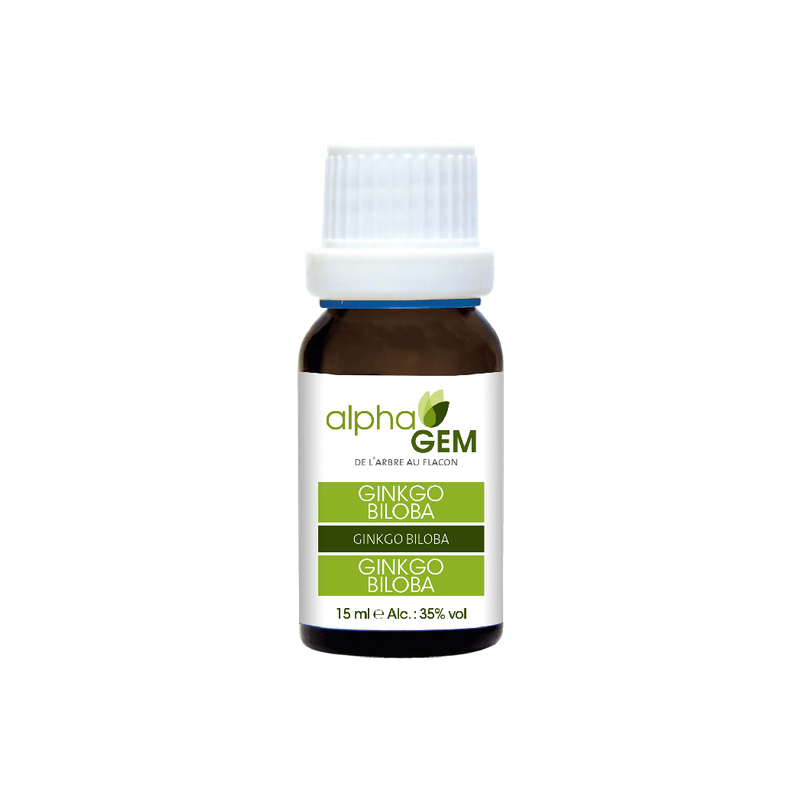 Ginkgo Biloba 15ml – Sphères Circulatoire, Nerveuse, Respiratoire, Digestive - Gemmo Alphagem Finistère