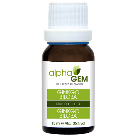 Ginkgo Biloba 15ml – Sphères Circulatoire, Nerveuse, Respiratoire, Digestive - Gemmo Alphagem Finistère