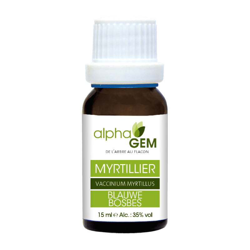 Myrtillier 15ml – Sphères Digestive, Uro-génitale, Ostéo-articulaire, Circulatoire, Oculaire, Cutané - Gemmo Alphagem Finistère