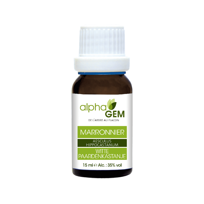 Marronnier 15ml – Sphères Circulatoire, Respiratoire, Cutané, Uro-génitale - Gemmo Alphagem Finistère