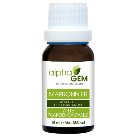 Marronnier 15ml – Sphères Circulatoire, Respiratoire, Cutané, Uro-génitale - Gemmo Alphagem Finistère