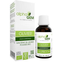Olivier 50ml – Sphères cadio-vasculaire, digestive, nerveuse - Gemmo Alphagem Finistère