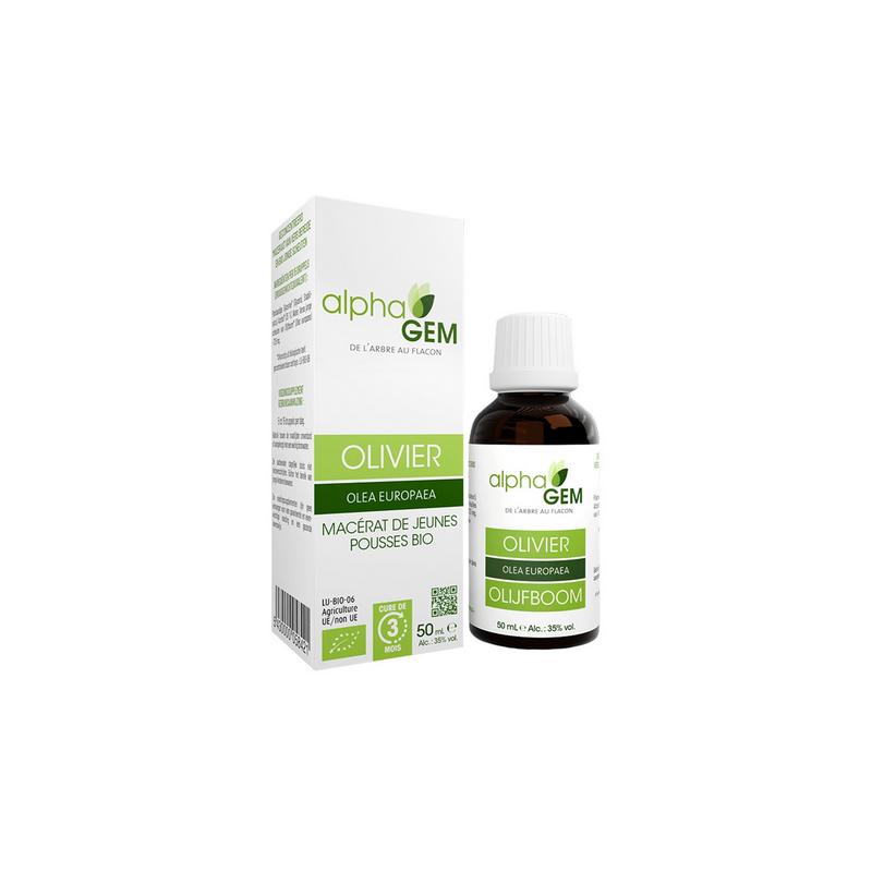 Olivier 50ml – Sphères cadio-vasculaire, digestive, nerveuse - Gemmo Alphagem Finistère