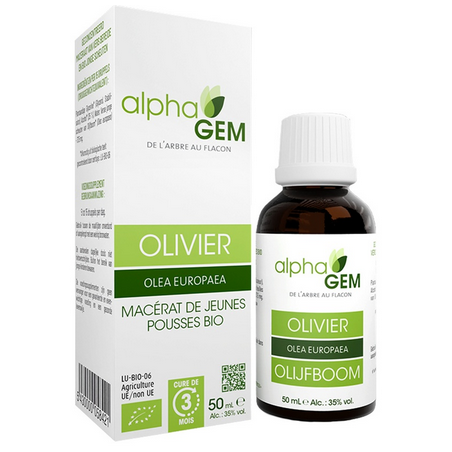 Olivier 50ml – Sphères cadio-vasculaire, digestive, nerveuse - Gemmo Alphagem Finistère